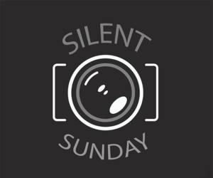 Logo Silent sunday
