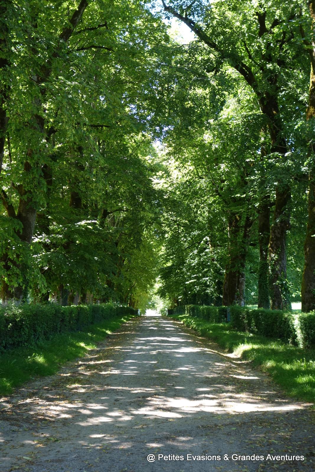 Allée du Château du Poux