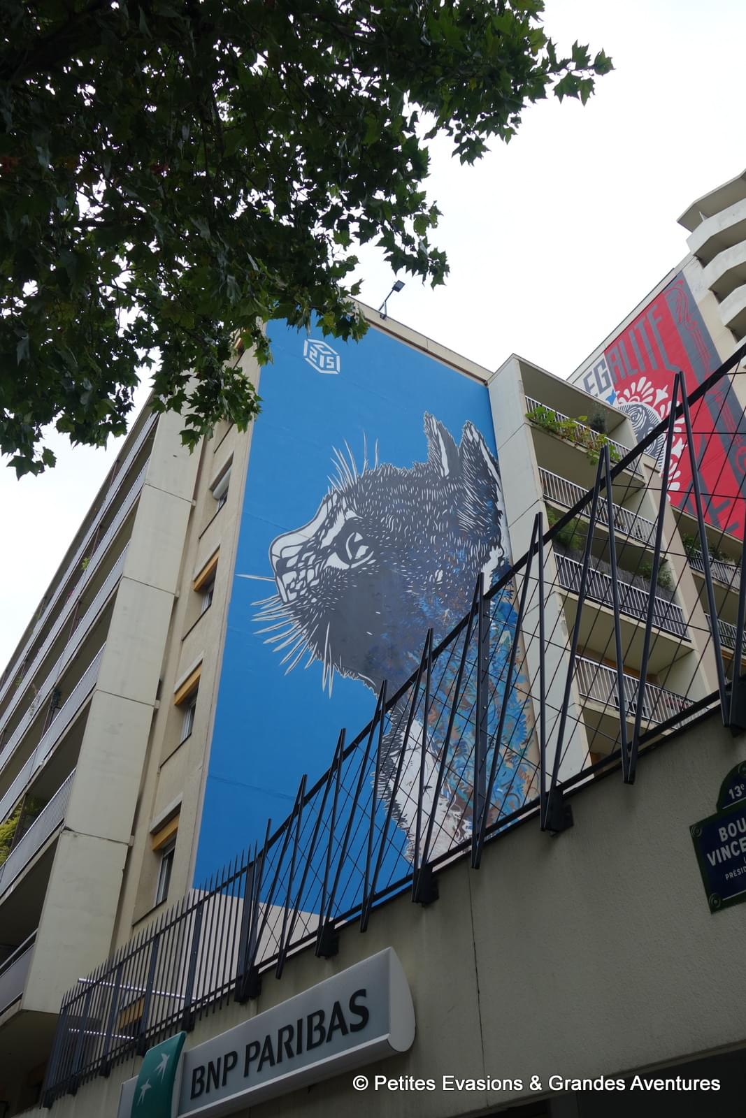 Le Chat, par C215