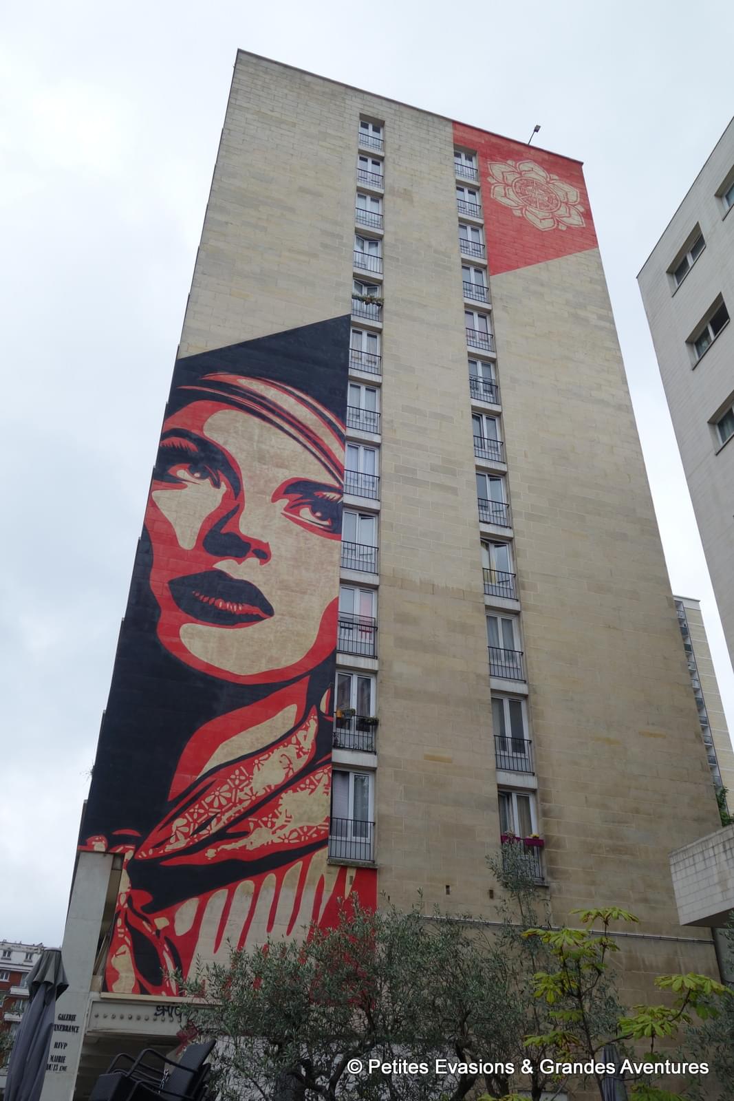 Rise Above Rebel, par Shepard Fairey