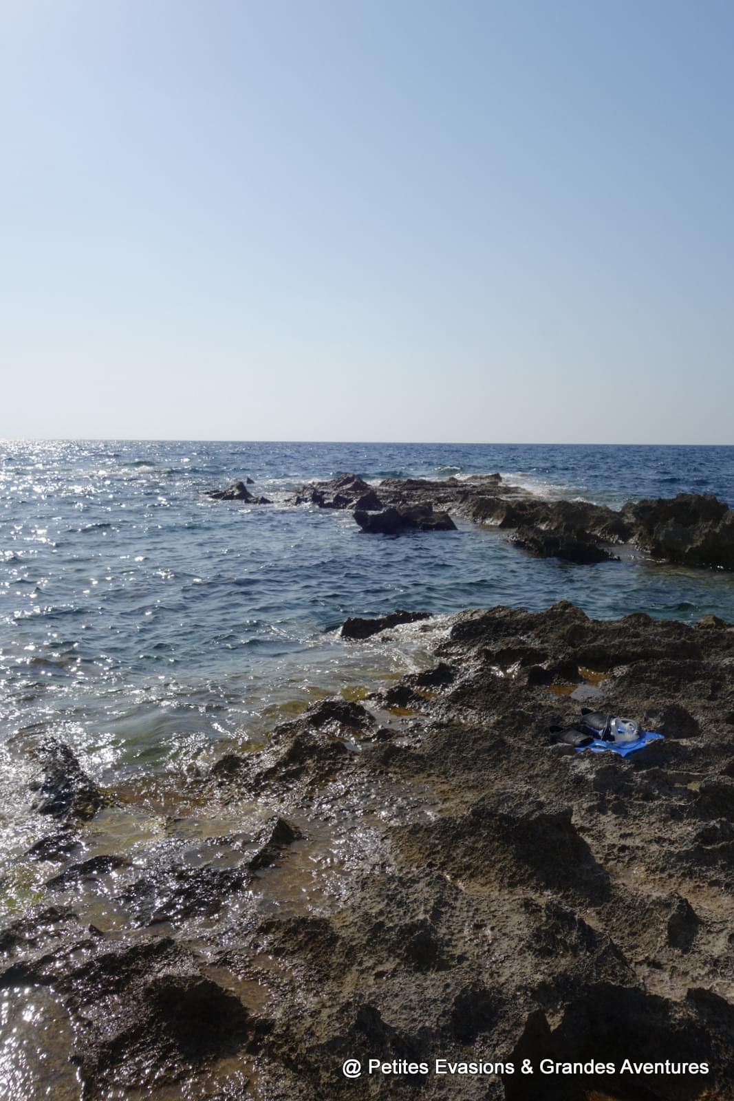 Coral Gardens (Dwejra - Gozo)