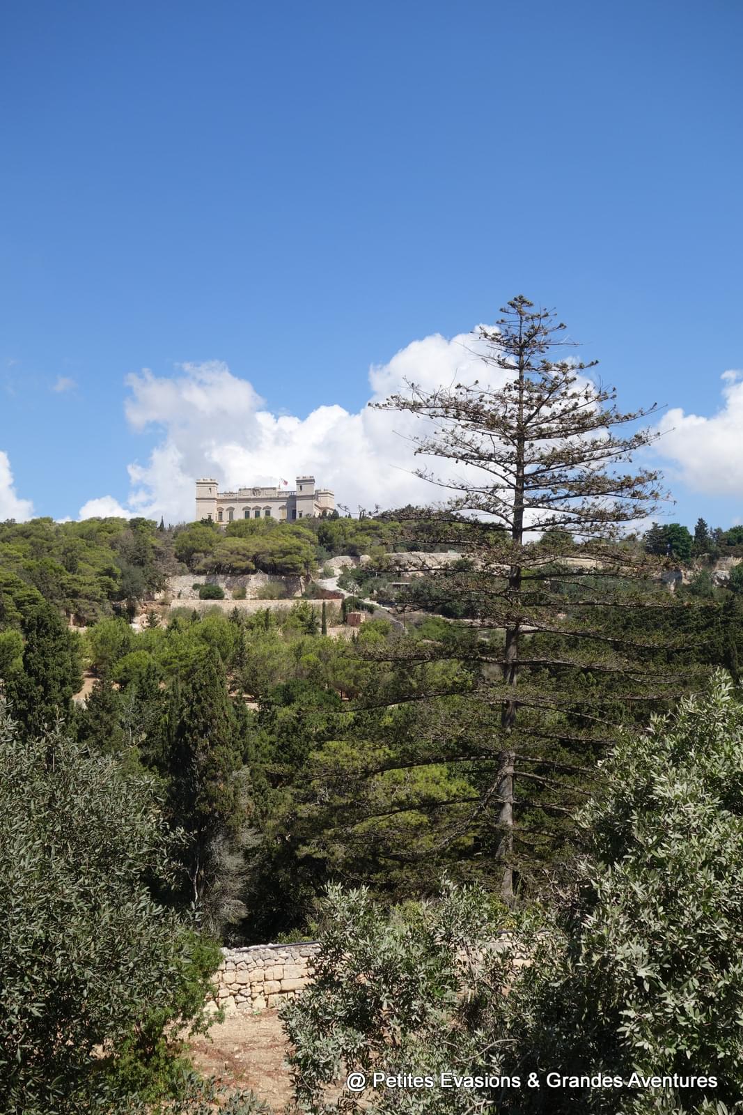Buskett Gardens, avec vue sur le Palais Verdala (Malte)