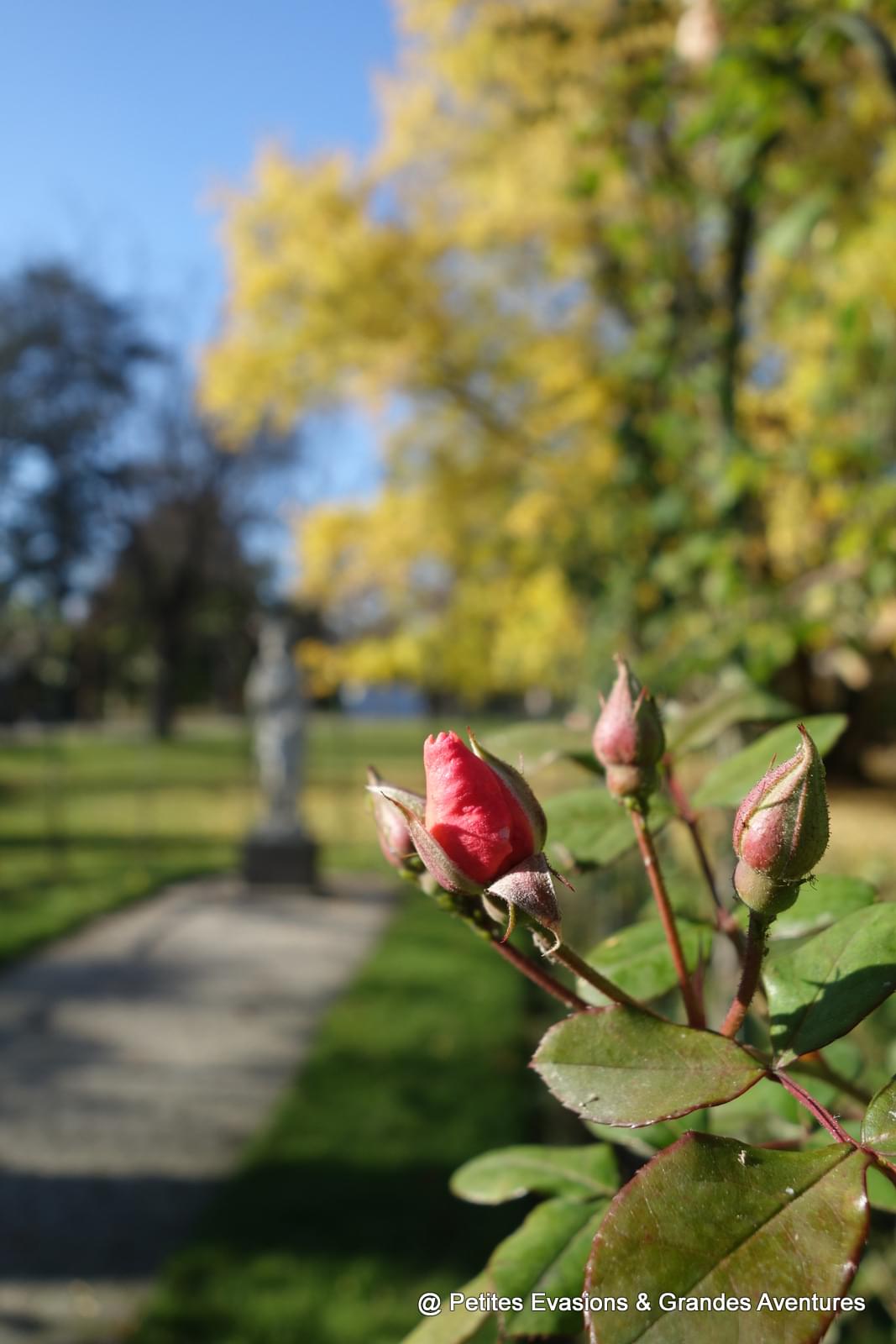 Jardin des Plantes de Toulouse