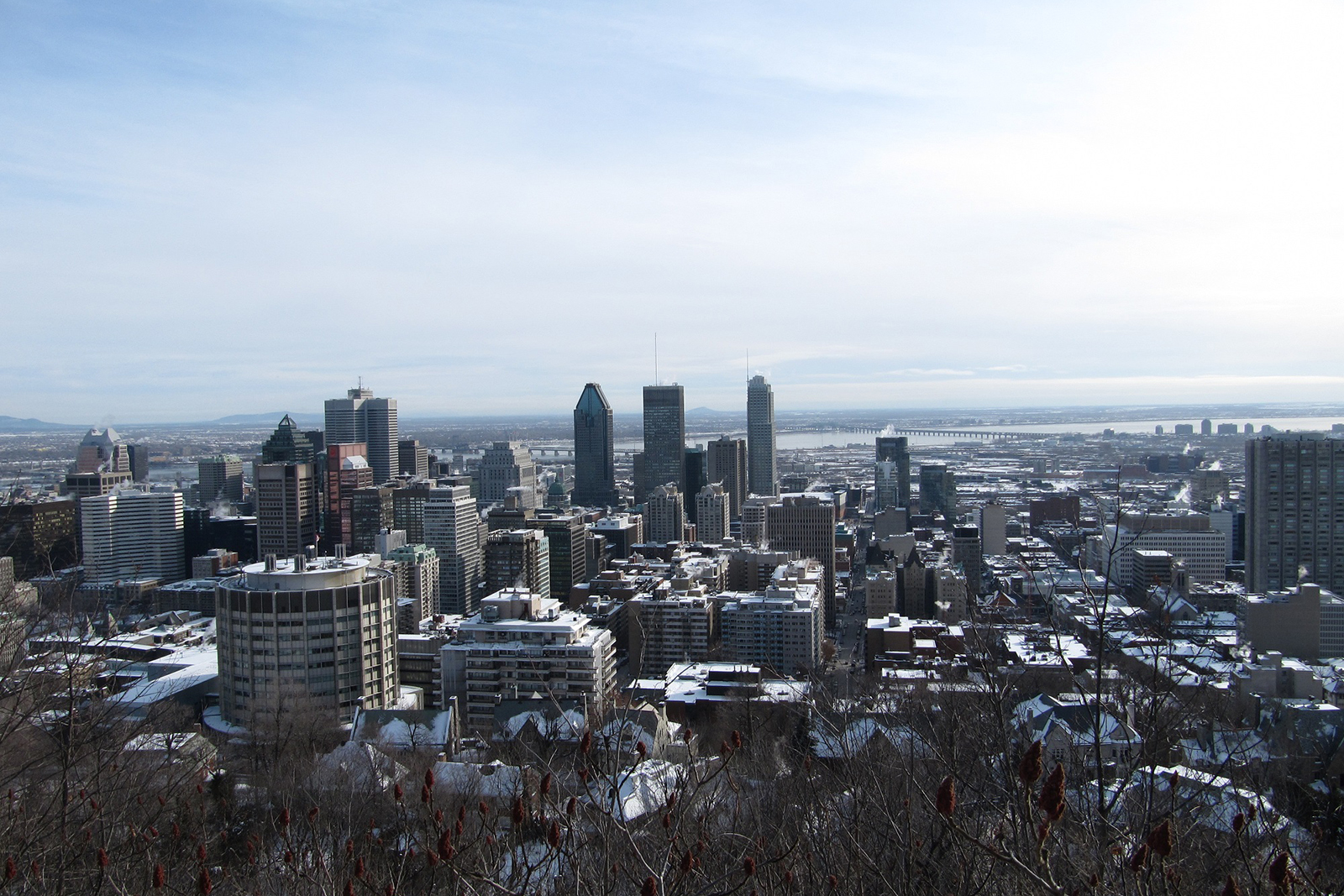 Montréal depuis le Mont Royal hiver