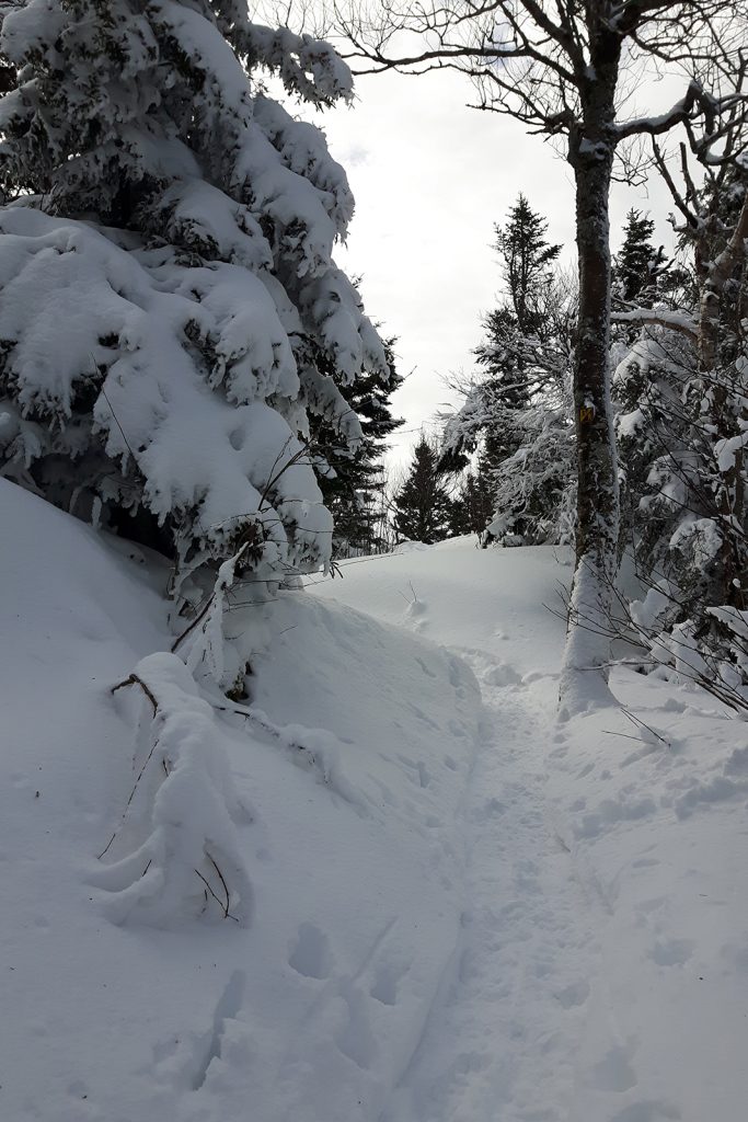 Sentier dans le Parc national du Mont Megantic Québec hiver