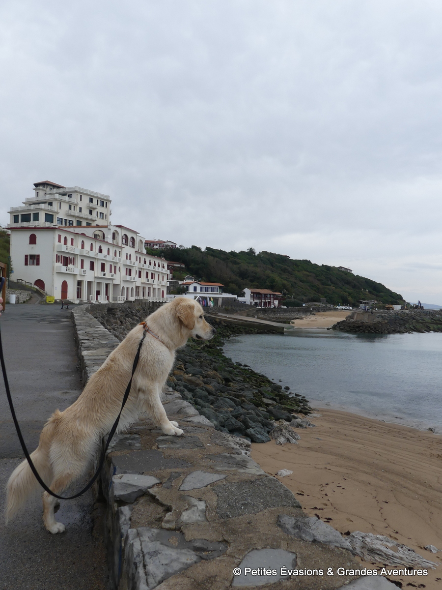 Les vacances en Pays basque avec un chien